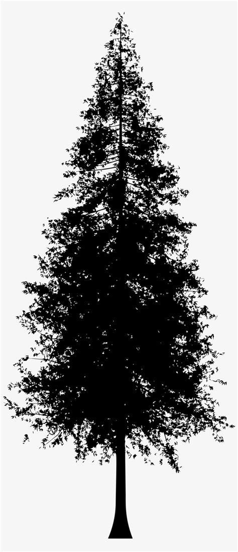 Download Redwood 1.11 for